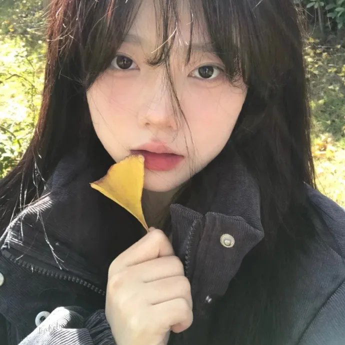 凹凸学园第二季